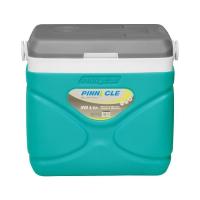 Автохолодильник Pinnacle 30 л, Prudence, 12/240V Бирюзовый Фото