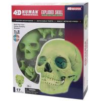 Пазл 4D Master Объемная анатомическая модель Череп человека светя Фото