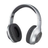 Навушники Panasonic RB-HX220BEE-S Gray Фото