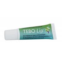 Бальзам для губ Dr. Wild TeboLip с маслом чайного дерева 10 мл Фото