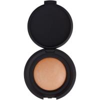 Пудра для лица NoUBA Bronzing Earth Powder 51 Фото