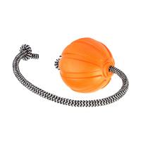 Игрушка для собак Liker Cord М'ячик з мотузкою 5 см Фото