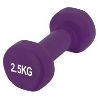 Гантель PowerPlay 4125 Achilles 2.5 кг Фіолетова Фото