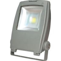 Прожектор ELM STREAM-10W 6500К Фото