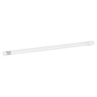 Лампочка MAGNUM FLE-002 9 Вт T8 6500K 220В G13 Фото