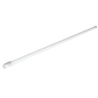 Лампочка EVROLIGHT L-1200 6400K 18Вт G13 T8 Фото