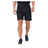 Шорты Puma teamLIGA Shorts 704924-03 чорний L Фото