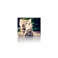 Коврик для мышки Voltronic CAT3 Фото