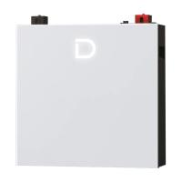 Батарея LiFePo4 Dyness DL5.0C Pro 51.2V - 100Ah Фото