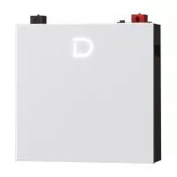 Батарея LiFePo4 Dyness DL5.0C Pro 51.2V - 100Ah Фото