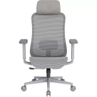Офісне крісло OfficePro Wave OC670-G-G-G Фото