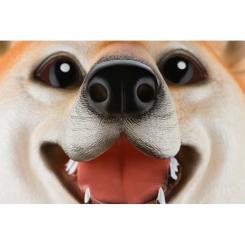 Игровой набор Same Toy рукавичка Собака Фото 1