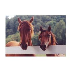 Пазл Melissa&Doug Лошади, 100 элементов Фото 1