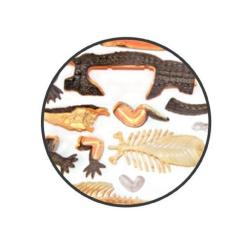 Пазл 4D Master Объемная анатомическая модель Крокодил Фото 2