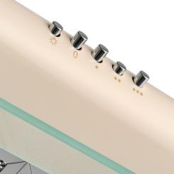 Вытяжка кухонная Pyramida WHX 60 IV Фото 2