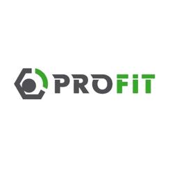 Воздушный фильтр для автомобиля Profit 1512-4128 Фото