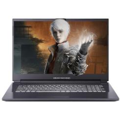 Ноутбук Dream Machines RT3060-17 Фото