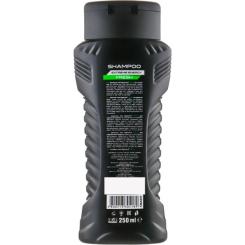 Шампунь Agressia Fresh 250 мл Фото 1