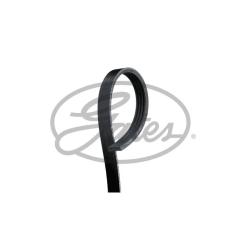 Поликлиновый ремень Gates 4PK855 Фото