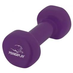 Гантель PowerPlay 4125 Achilles 2.5 кг Фіолетова Фото 1