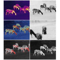 Монокуляр Guide Тепловізійний TrackIR 50mm 400x300px Фото 6