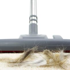 Насадка на пылесос Thomas 139906 Фото 4