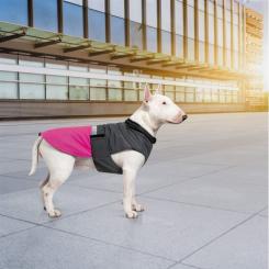 Попона для животных Pet Fashion ROY 6XL малиново-серая Фото 6