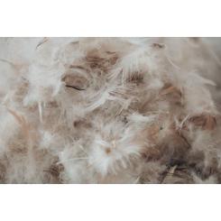 Подушка MirSon пуховая Extra 106 мягкая 40x60 см Фото 7