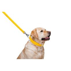 Поводок для собак WAUDOG Glamour кожаный M-XXL желтый Фото 3