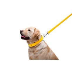 Поводок для собак WAUDOG Glamour кожаный M-XXL желтый Фото 4