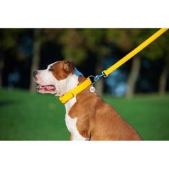Поводок для собак WAUDOG Glamour кожаный M-XXL желтый Фото 6