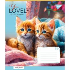 Тетрадь Yes You Lovely 12 аркушів клітинка Фото 4
