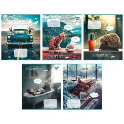 Тетрадь Yes Funny pets 36 листов клетка Фото