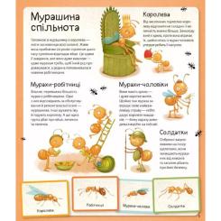 Книга Vivat Світ мурах - Штєпанка Секанінова Фото 5