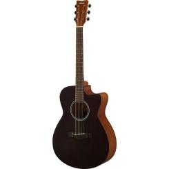 Гитара акустическая Yamaha FS400C Smoky Black Фото