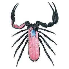 Пазл 4D Master Master Скорпион Фото 2