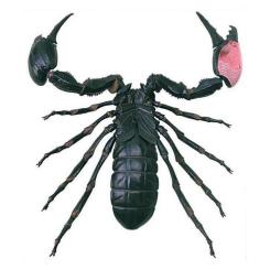 Пазл 4D Master Master Скорпион Фото 3