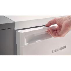 Холодильник Liebherr RE1200 Фото 10