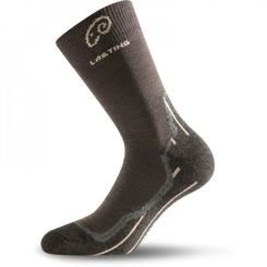 Термоноски Lasting трекінг WHI 721 M Фото