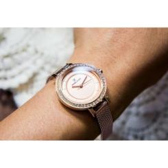 Наручные часы Daniel Klein DK11699-2 Фото 1