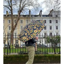 Зонт Fulton L354-041673 Minilite-2 Sunflower Фото 1