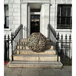 Зонт Fulton L354-041673 Minilite-2 Sunflower Фото 3