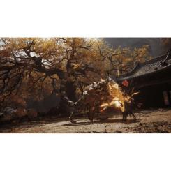 Игра Sony Black Myth: Wukong, BD диск Фото 8