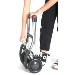 Сумка-тележка Rolser Big Polar 2 Negro (BIG001-1023) Фото 9