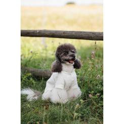 Футболка для животных Pet Fashion Ostap XXS Фото 10