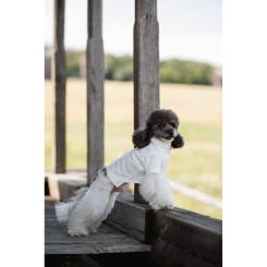 Футболка для животных Pet Fashion Ostap XXS Фото 11