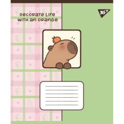 Тетрадь Yes Capy vibes А5 24 аркушів лінія Фото 2