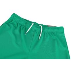 Шорты Puma teamRISE Short 704942-05 зелений S Фото 9