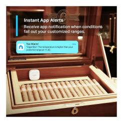 Датчик температуры TP-Link та вологості Tapo T310 smart Фото 4