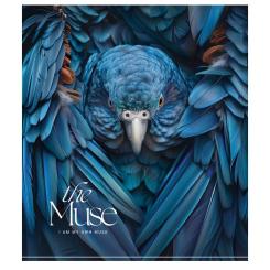 Тетрадь Школярик THE MUSE 60 листов клетка Фото